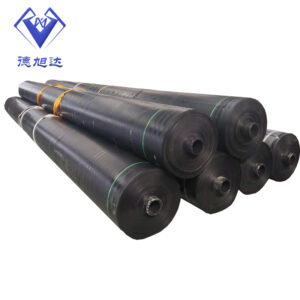 HDPE Geomembrane